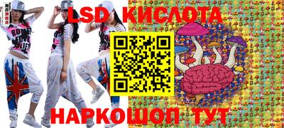 ГАЛЛЮЦИНОГЕННЫЕ ГРИБЫ Камышлов