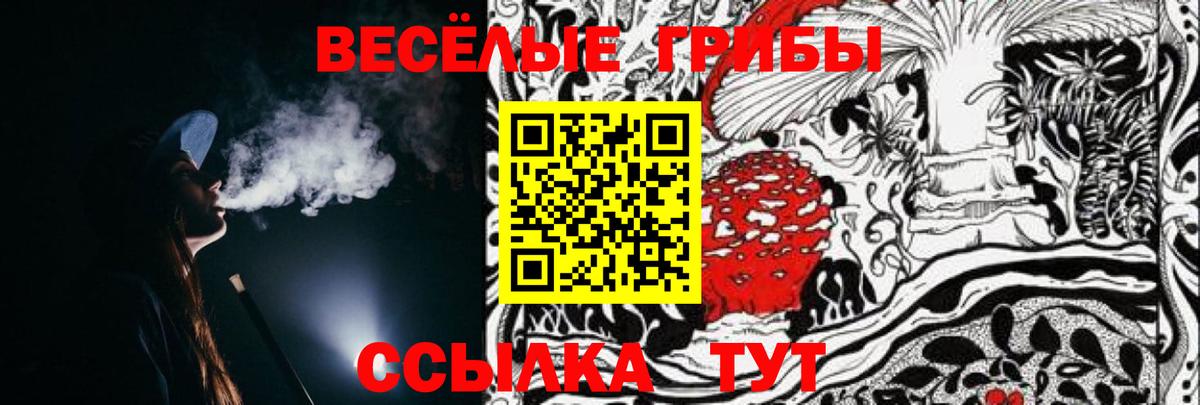 Галлюциногенные грибы ЛСД Краснознаменск