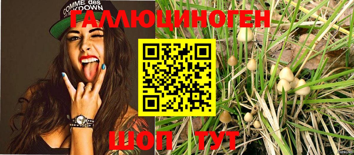 купить закладку  Галлюциногенные грибы MAGIC MUSHROOMS  Краснознаменск  Вход с VPN  Псилоцибиновые грибы ЛСД 